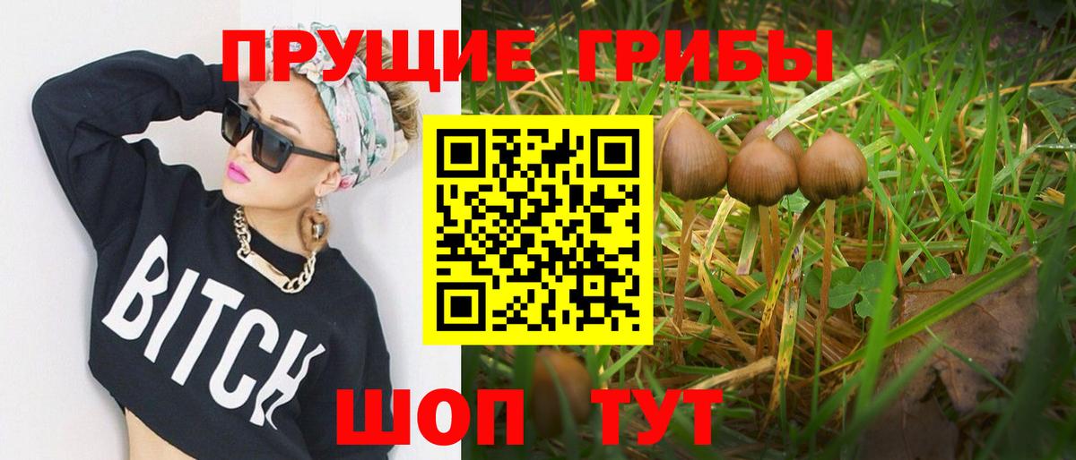 Галлюциногенные грибы Psilocybe Фрязино