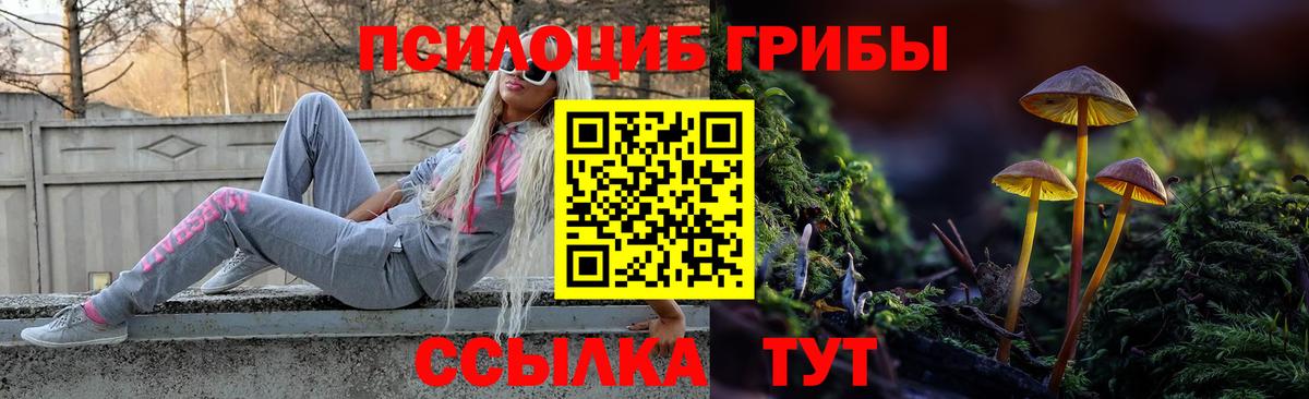 Фрязино  Галлюциногенные грибы Cubensis  Вход с VPN 
